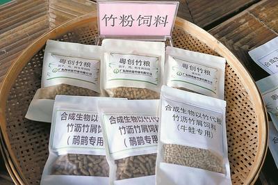 清遠(yuǎn)英德西牛鎮(zhèn) 打造“以竹代塑”“以竹代糧”綠色產(chǎn)業(yè)，推動(dòng)生物飼料研發(fā)