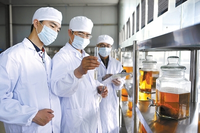 多措并舉用秸稈 變廢為寶獲實(shí)惠——生物飼料研發(fā)的綠色實(shí)踐與廣闊前景