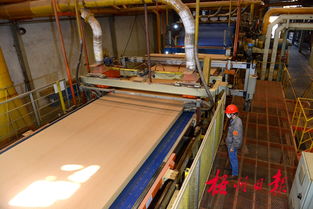 廣西三威林產(chǎn)工業(yè) 以創(chuàng)新研發(fā)驅(qū)動產(chǎn)業(yè)升級，生物飼料產(chǎn)品引領(lǐng)綠色新賽道