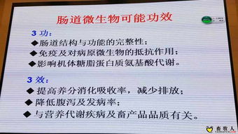 引領(lǐng)水產(chǎn)養(yǎng)殖新變革 麥康森院士論生物飼料研發(fā)的前沿探索